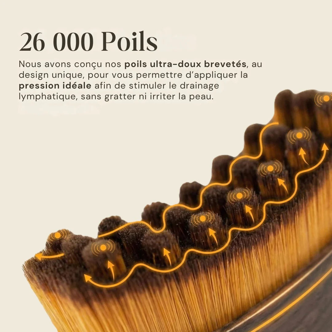 TEYNTIA - Brosse de drainage lymphatique
