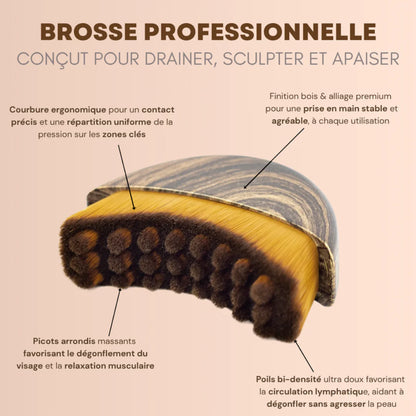 TEYNTIA - Brosse de drainage lymphatique