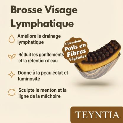 TEYNTIA - Brosse de drainage lymphatique